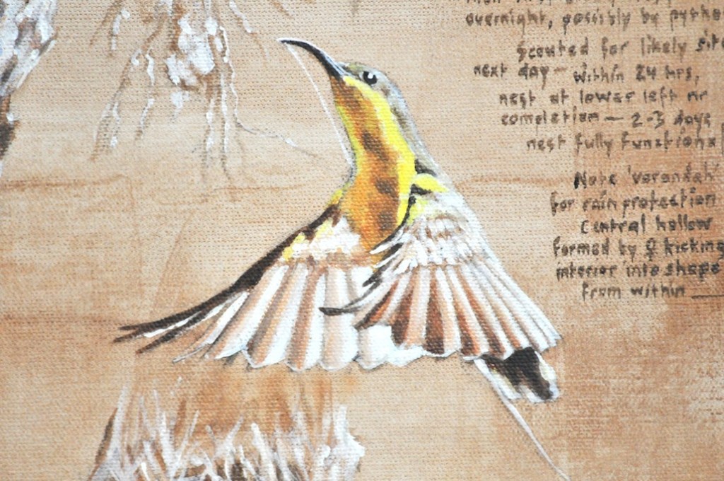 sunbird in flight