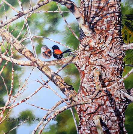 Harmony in Green Copyright Megan Spiers