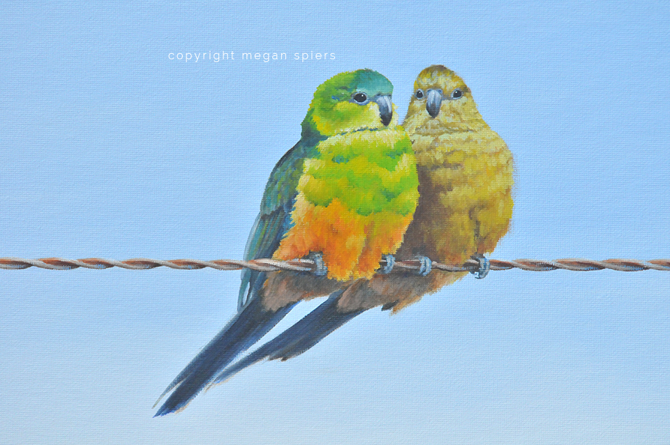 copyright megan spiers