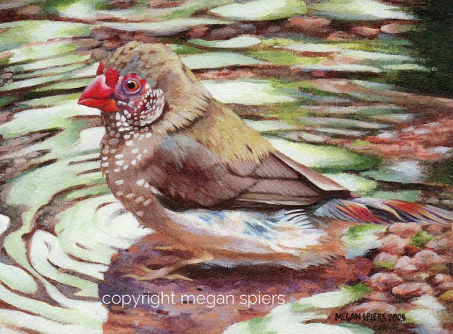 copyright megan spiers