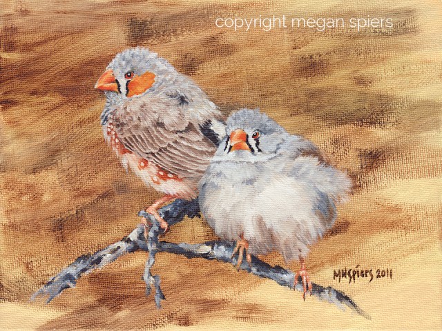 copyright megan spiers