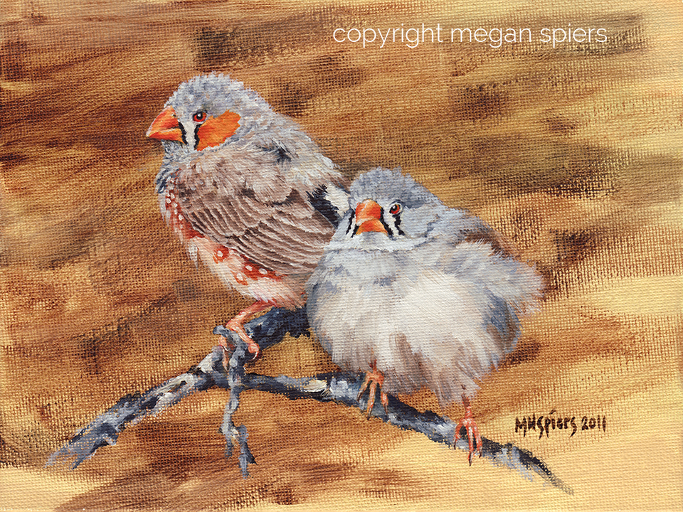 copyright megan spiers