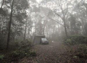 copyright megan spiers