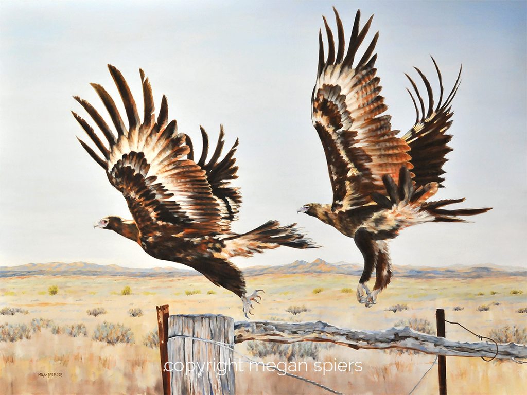 copyright megan spiers 2013