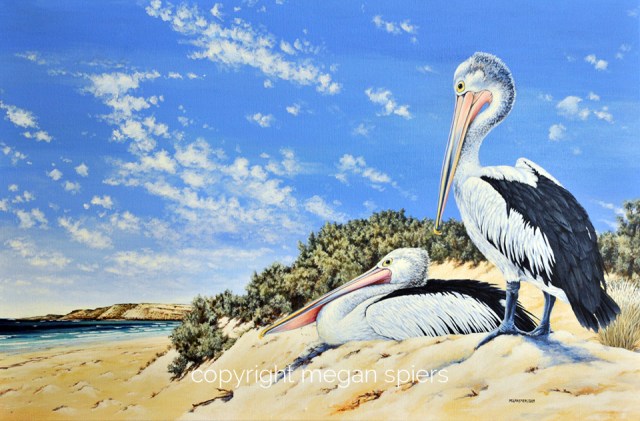 copyright megan spiers