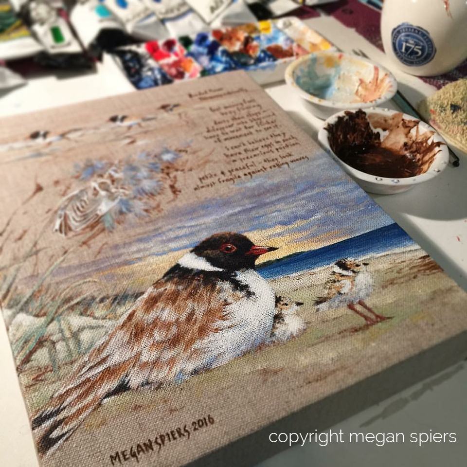 copyright megan spiers