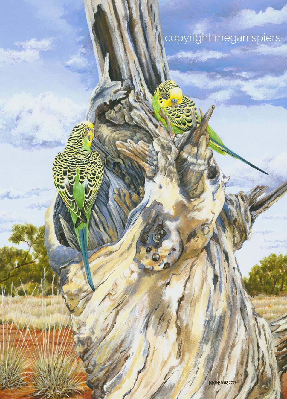 copyright megan spiers